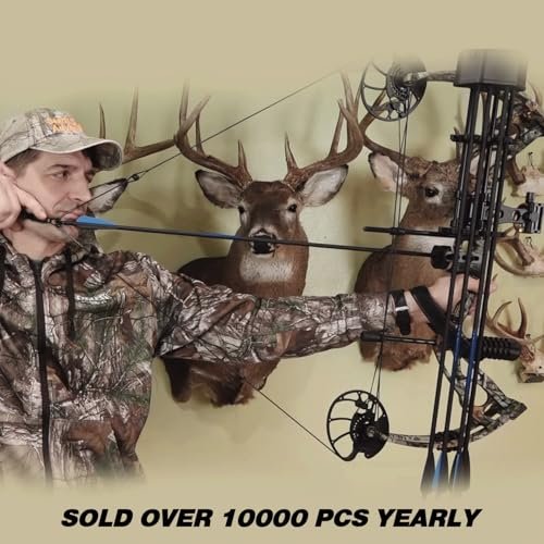 Best Compound Bow