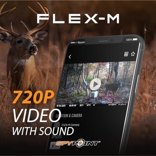 Best Trail Camera