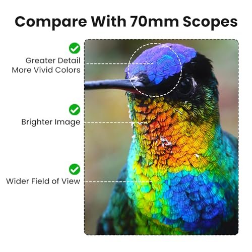 Best Spotting Scope