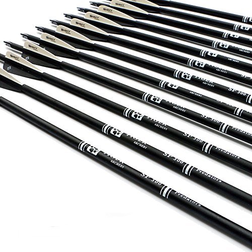 Best Carbon Arrows