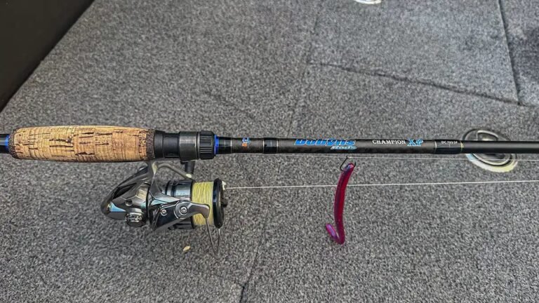 Is Dobyns Champion Xp Rod Worth It?