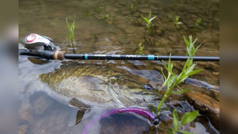 Is G. Loomis Nrx+ Casting Rod Worth It?