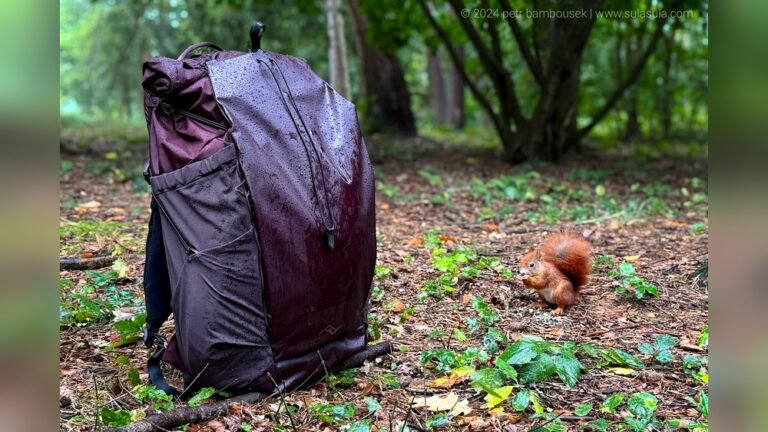 Is Peak Design Outdoor Backpack 45L Worth It?
