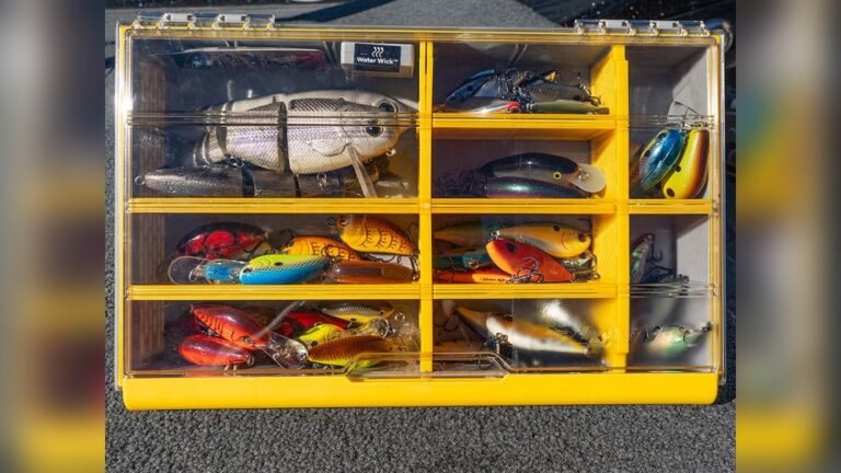 Is Plano Edge Flex Tackle Box Worth It?