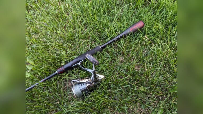 Is Shimano Stella Fk 3000 Worth It?