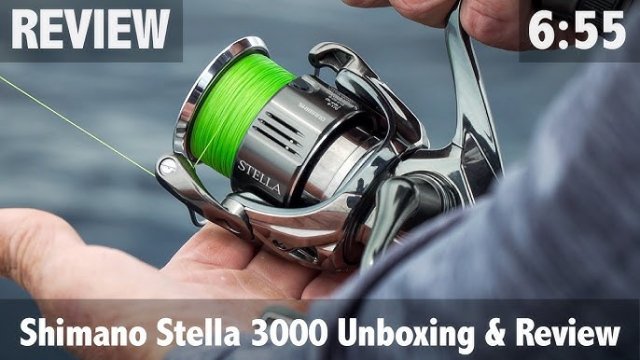 Is Shimano Stella Fk 3000 Worth It? Honest Angler Review
