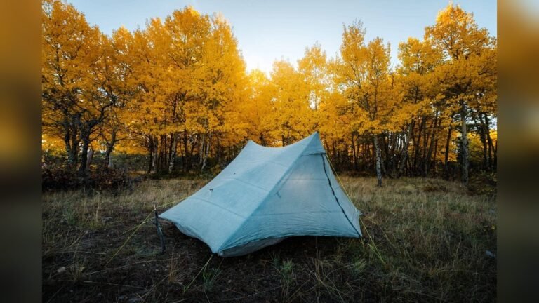 Is Zpacks Duplex Tent Worth It?
