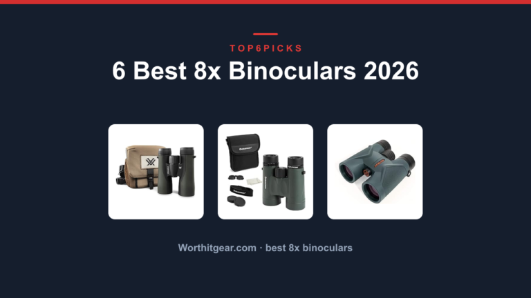 6 Best 8x Binoculars 2026