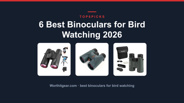 6 Best Binoculars for Bird Watching 2026