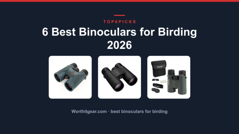 6 Best Binoculars for Birding 2026