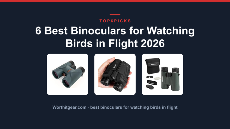 6 Best Binoculars for Watching Birds in Flight 2026