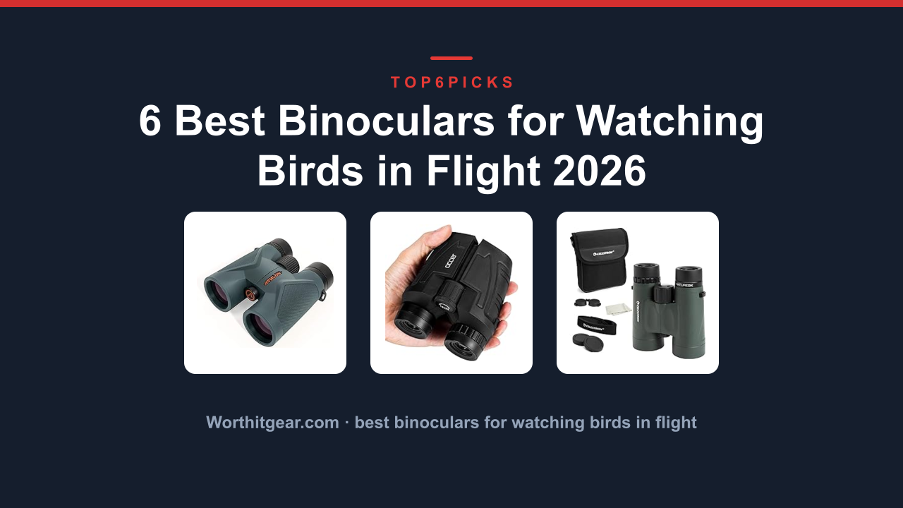 6 Best Binoculars for Watching Birds in Flight 2026