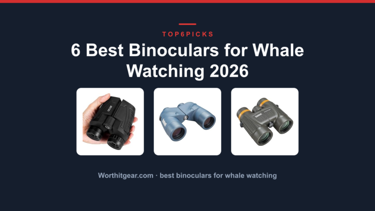 6 Best Binoculars for Whale Watching 2026