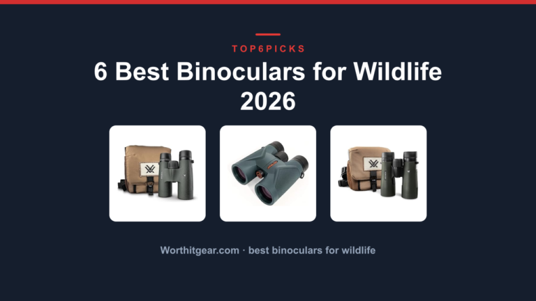 6 Best Binoculars for Wildlife 2026