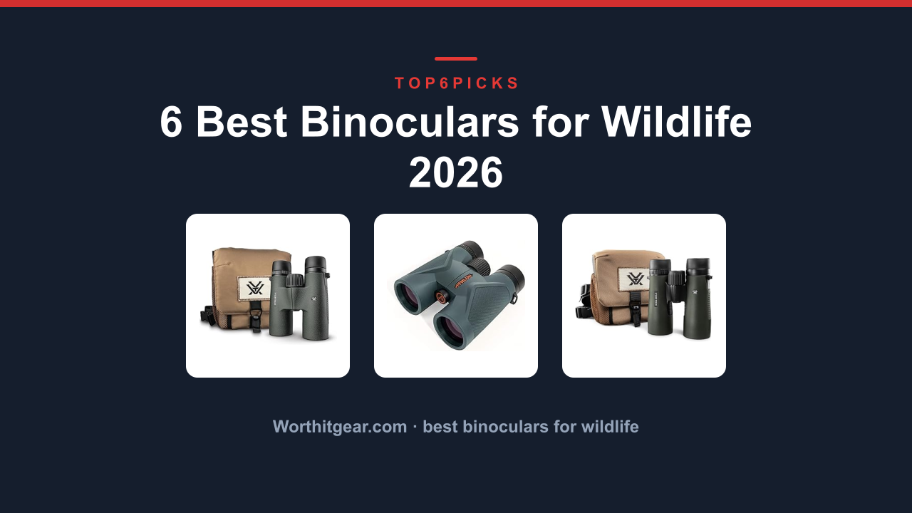 6 Best Binoculars for Wildlife 2026