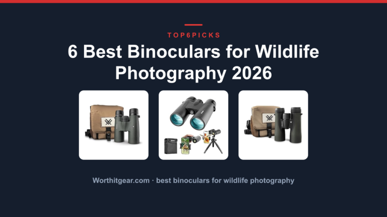 6 Best Binoculars for Wildlife Photography 2026