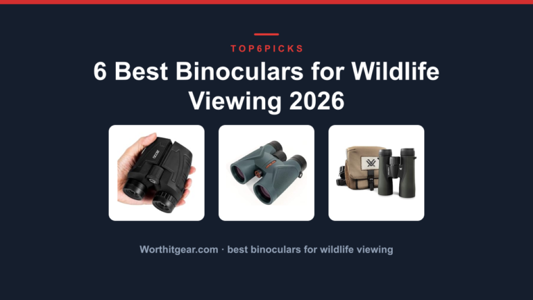 6 Best Binoculars for Wildlife Viewing 2026