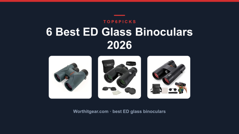 6 Best ED Glass Binoculars 2026