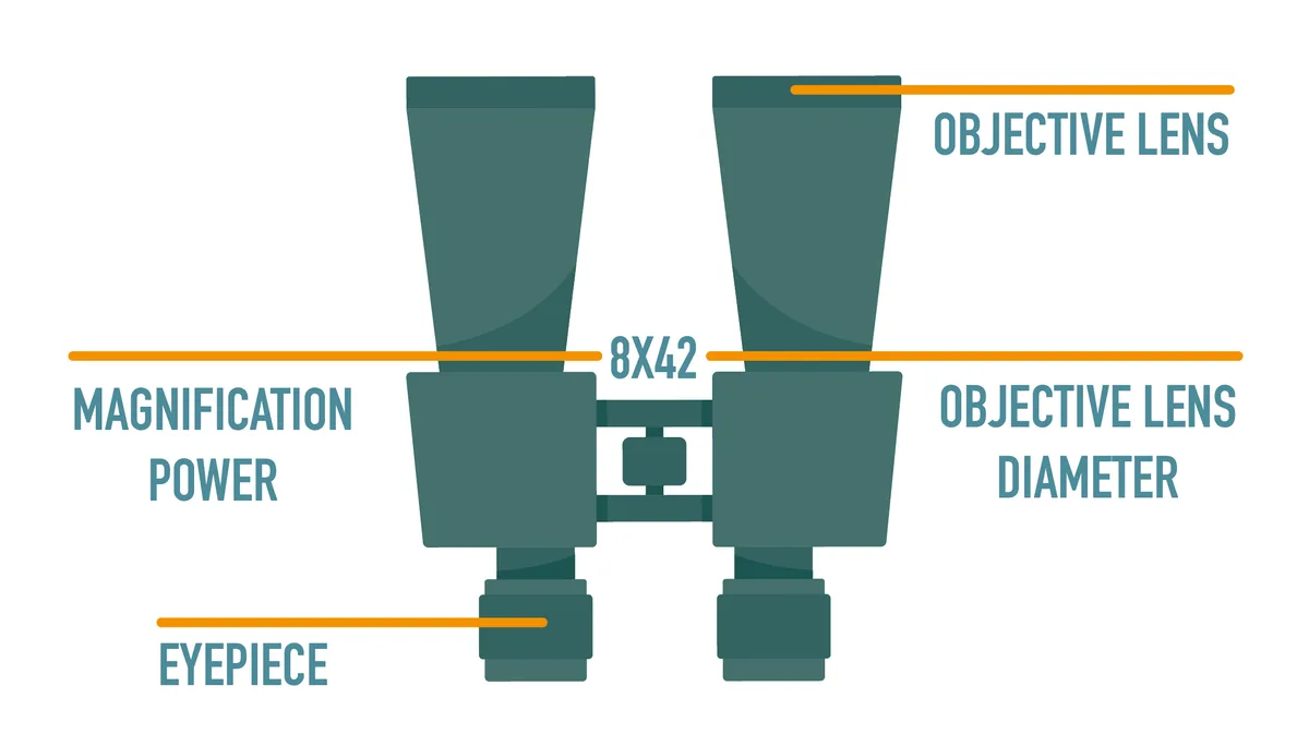 8x42 binoculars specifications