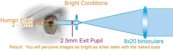 binocular exit pupil diagram