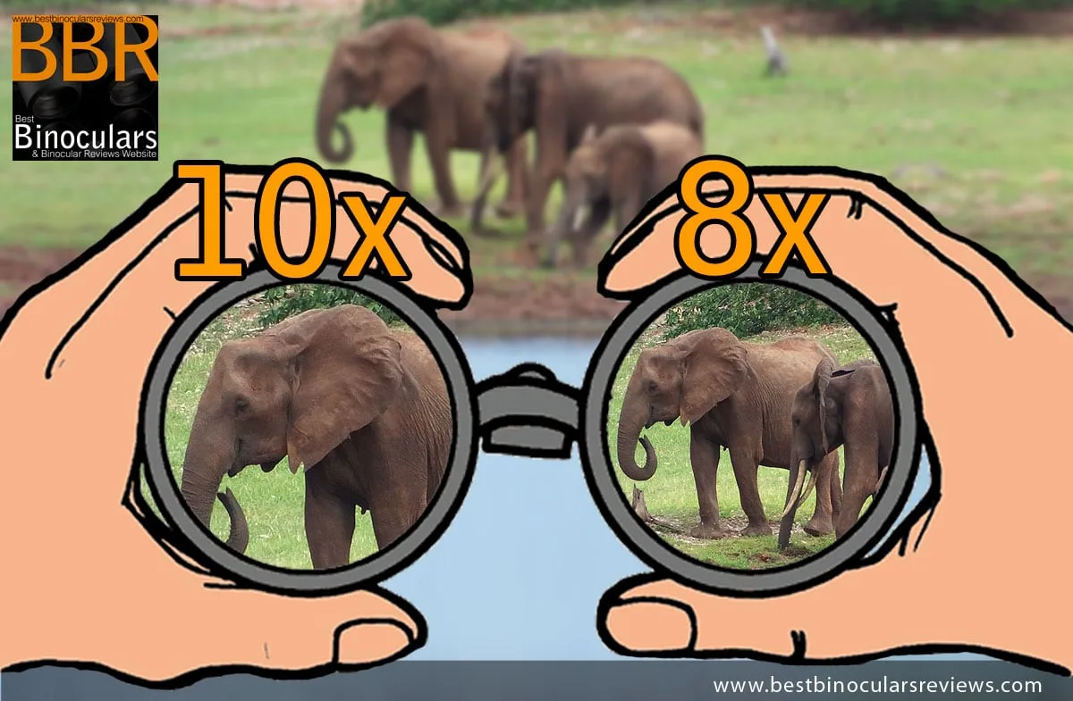 binocular field of view comparison