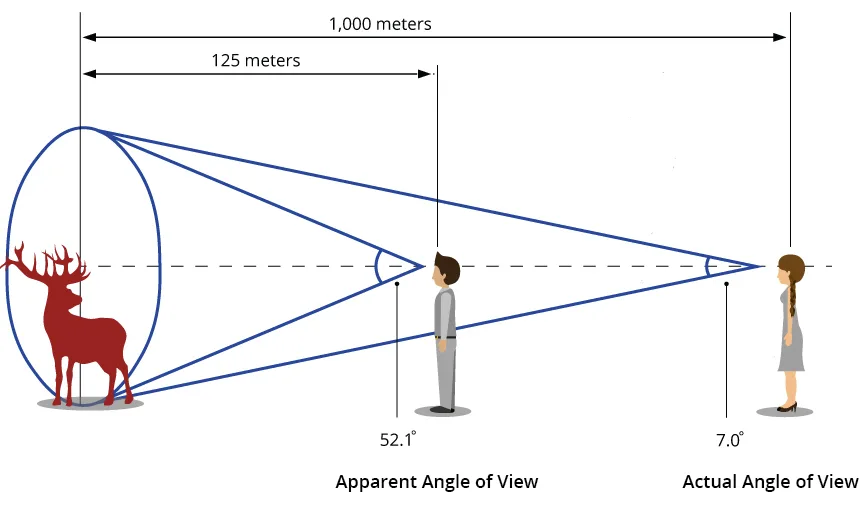 binocular field of view