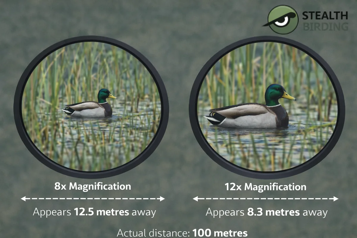 binocular magnification decision tree