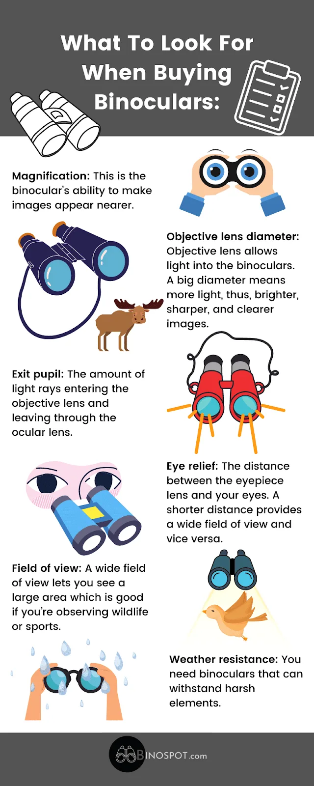 binoculars for beginners