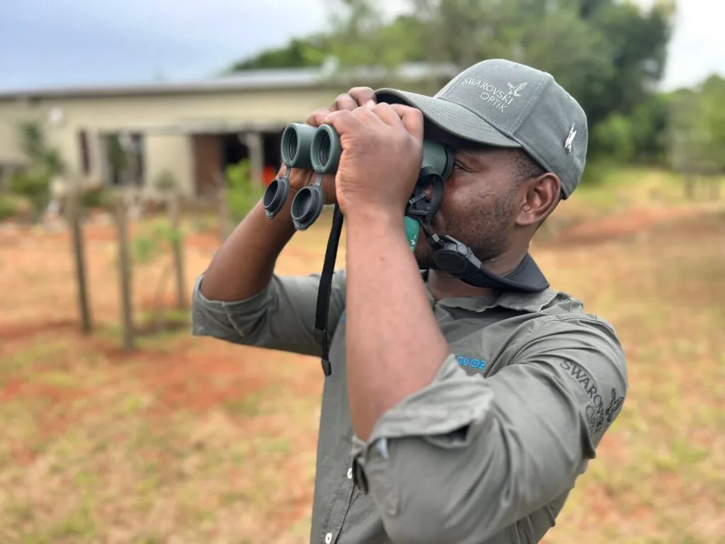 bird watching binoculars