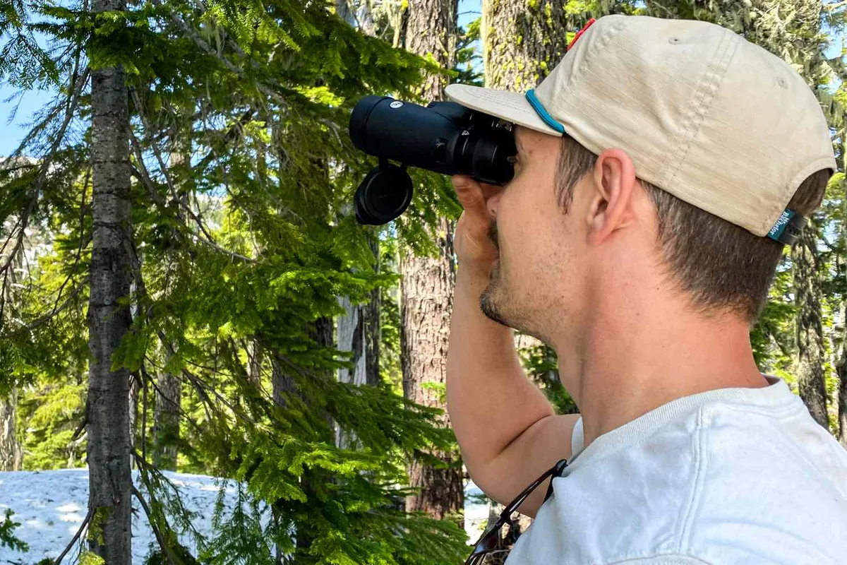 birdwatching with binoculars