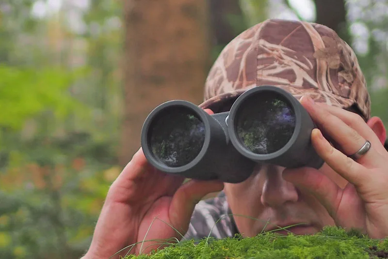 dark forest low light binoculars