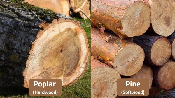 hardwood vs softwood firewood