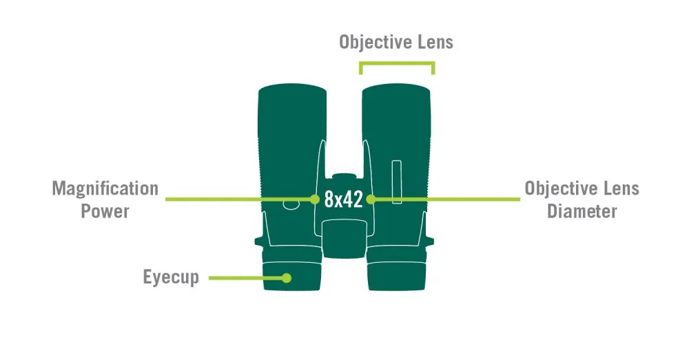 magnification and objective lens