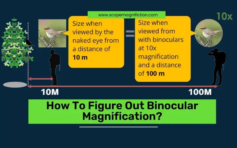 Magnification power