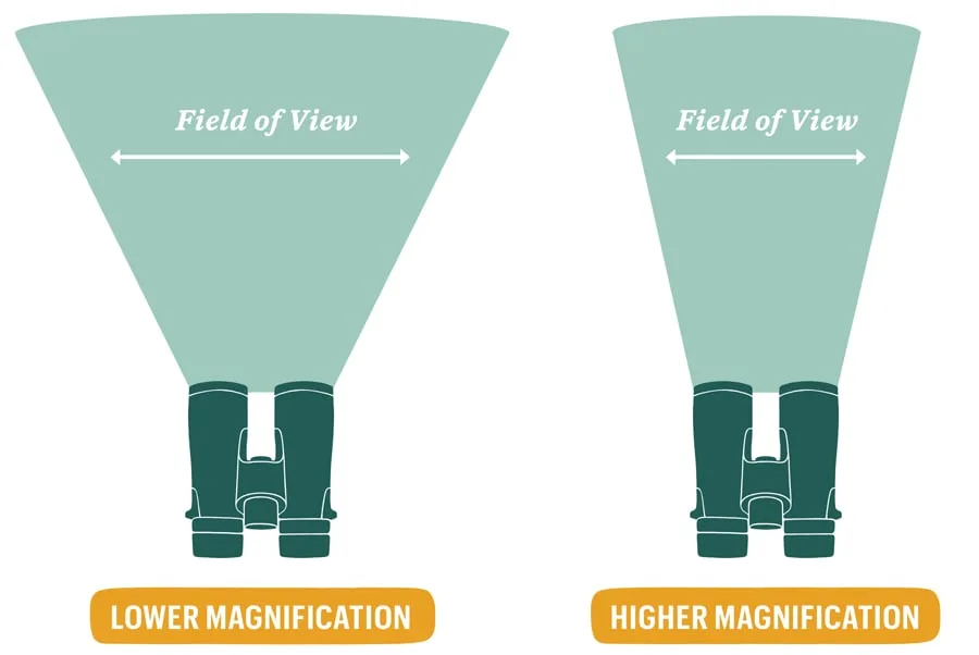magnification stability tradeoff