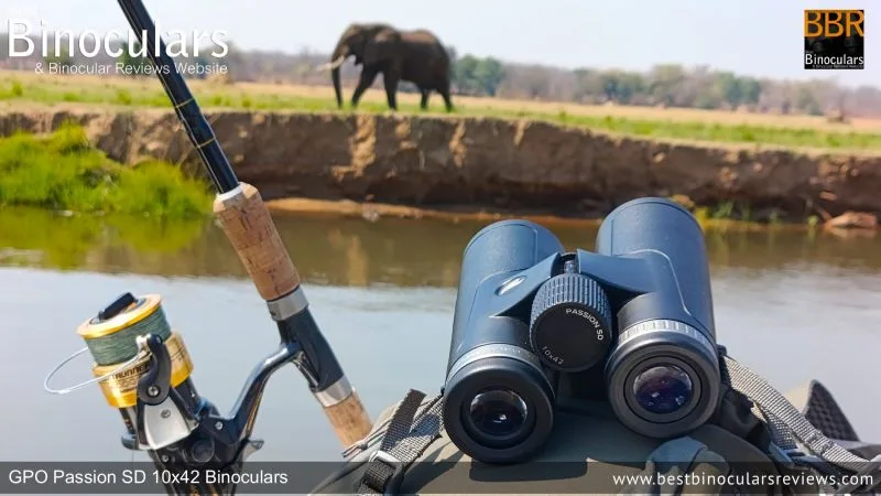 what binoculars are best for safari