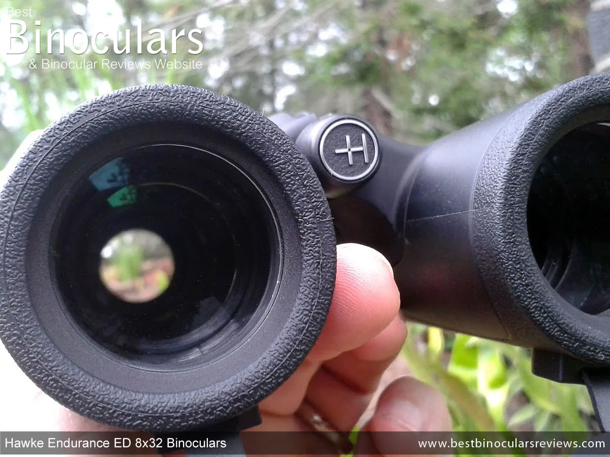 what is ED glass in binoculars